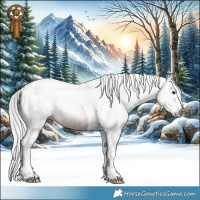Horse Color:Gray Silver Brown Splash Tobiano 