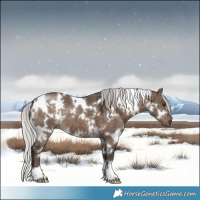 Horse Color:White Spotted Silver Brown Dun Mushroom 
