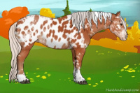 Horse Color:White Spotted Silver Brown Tobiano Appaloosa Rabicano 
