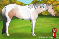 Horse Color:Bay Tobiano 