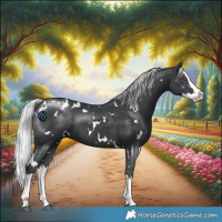 Horse Color:White Spotted Silver Black Chinchilla Splash 