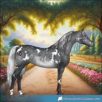 Horse Color:White Spotted Silver Brown Chinchilla 