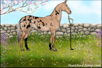 Horse Color:Void White Spotted Silver Brown Dun Appaloosa 