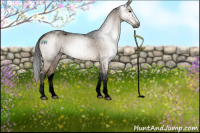 Horse Color:Gray Void Brown Dun Tobiano Snowflake Varnish Rabicano 