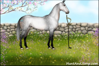 Horse Color:Gray Void Brown Tobiano Varnish