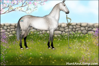 Horse Color:Gray Void Brown Dun 
