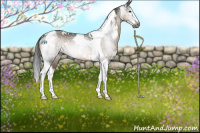 Horse Color:Gray White Spotted Brown Dun Splash Tobiano 