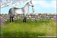 Horse Color:Gray Void Platinum White Spotted Buckskin Dun Splash Tobiano Blanket 