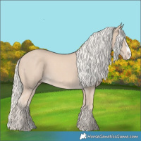 Horse Color:Cremello Splash  and Cremello Splash 