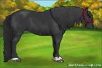 Horse Color:Black Chinchilla 