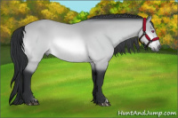 Horse Color:Bay Chinchilla 