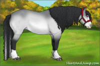 Horse Color:Brown Chinchilla Splash 