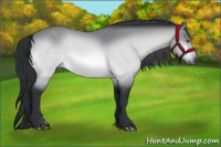 Horse Color:Brown Chinchilla 