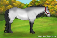 Horse Color:Brown Chinchilla