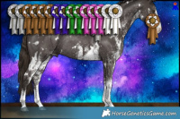 Horse Color:White Spotted Liver Chestnut Rabicano 