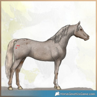 Horse Color:Chocolate Palomino Varnish 