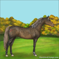 Horse Color:Chocolate Palomino Tobiano Varnish 