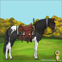 Horse Color:Brown Tobiano Appaloosa Rabicano