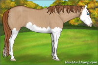 Horse Color:Red Dun Roan Splash Brindle