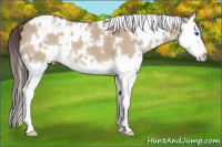 Horse Color:White Spotted Liver Red Dun Splash 