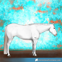 Horse Color:Bay Splash Tobiano Appaloosa  and Bay Splash Tobiano Frame Appaloosa 
