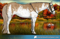 Horse Color:White Spotted Chocolate Palomino Dun Sabino Rabicano 