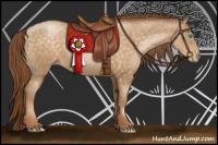 Horse Color:Buckskin Pearl 