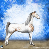 Horse Color:Bay Splash Tobiano Near Leopard  and Amber Champagne Splash Tobiano Near Leopard 