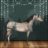 Horse Color:White Spotted Bay Dun 