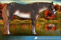 Horse Color:White Spotted Liver Chestnut Tobiano 