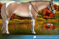 Horse Color:Liver Chestnut Pearl Tobiano