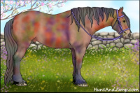 Horse Color:Nacre Bay 