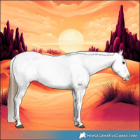 Horse Color:Bay Splash Tobiano Appaloosa  and Bay Splash Tobiano Appaloosa 
