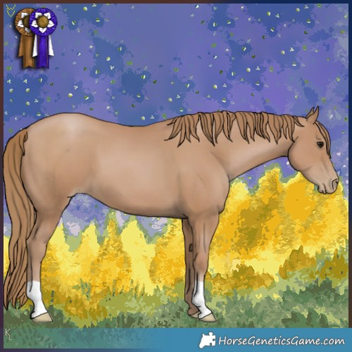 Horse Color:Black Pearl 