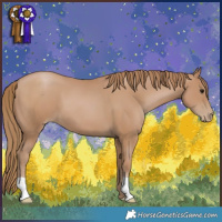 Horse Color:Black Pearl