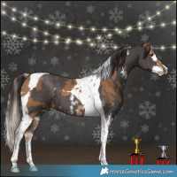 Horse Color:Chocolate Palomino Tobiano Rabicano and Liver Chestnut Sabino Splash Tobiano