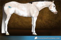 Horse Color:White Spotted Bay Roan Dun Splash Frame 