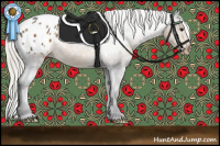 Horse Color:Silver Buckskin Appaloosa 
