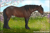 Horse Color:Brown Rabicano 
