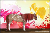 Horse Color:Painted White Spotted Liver Red Dun