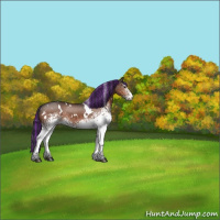 Horse Color:Painted White Spotted Brown