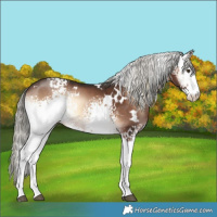 Horse Color:White Spotted Liver Red Onyx Mushroom 