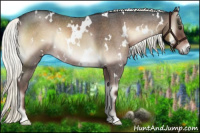 Horse Color:White Spotted Liver Red Onyx Roan Mushroom 
