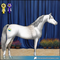 Horse Color:Gray Classic Cream Champagne Roan 
