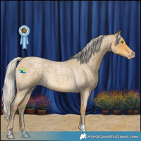 Horse Color:Silver Classic Cream Champagne Roan 