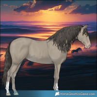 Horse Color:Classic Cream Champagne 