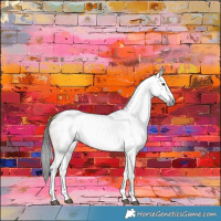 Horse Color:Gray Liver Red Dun Sabino Appaloosa Brindle
