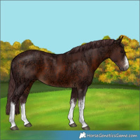 Horse Color:White Spotted Chocolate Brown Ice 