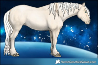 Horse Color:Buckskin Roan Pearl  and Silver Buckskin Roan Pearl 