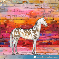 Horse Color:Silver Buckskin Dun Appaloosa Brindle 